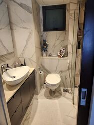 Blk 1C The Pinnacle@Duxton (Bukit Merah), HDB 4 Rooms #502496321